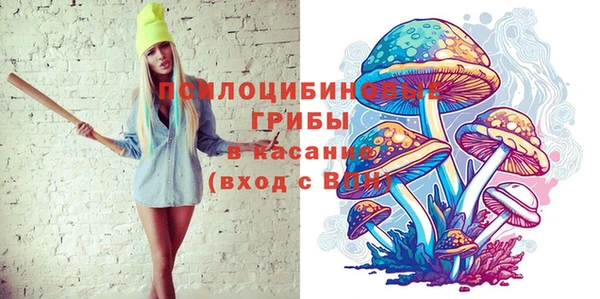 молекула духа Алзамай