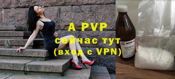 хмурый Абаза