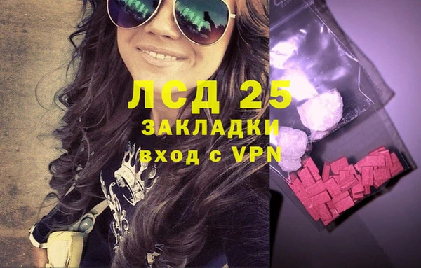 хмурый Абаза